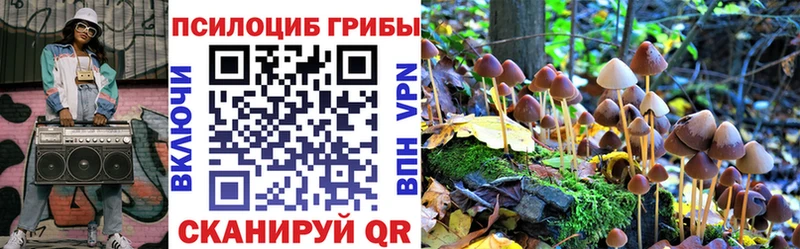 Галлюциногенные грибы GOLDEN TEACHER Суджа